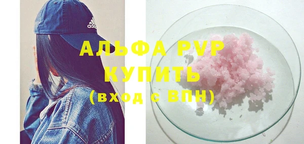 прущие грибы Медвежьегорск