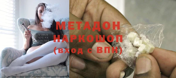 прущие грибы Медвежьегорск