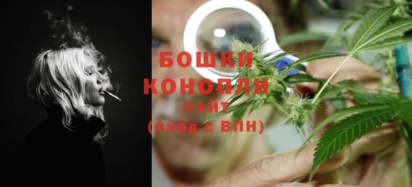 прущие грибы Медвежьегорск