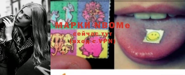прущие грибы Медвежьегорск