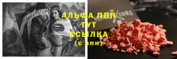 прущие грибы Медвежьегорск