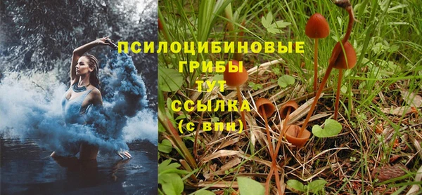 герыч Мегион