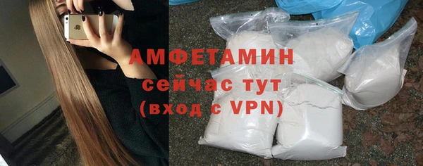 прущие грибы Медвежьегорск